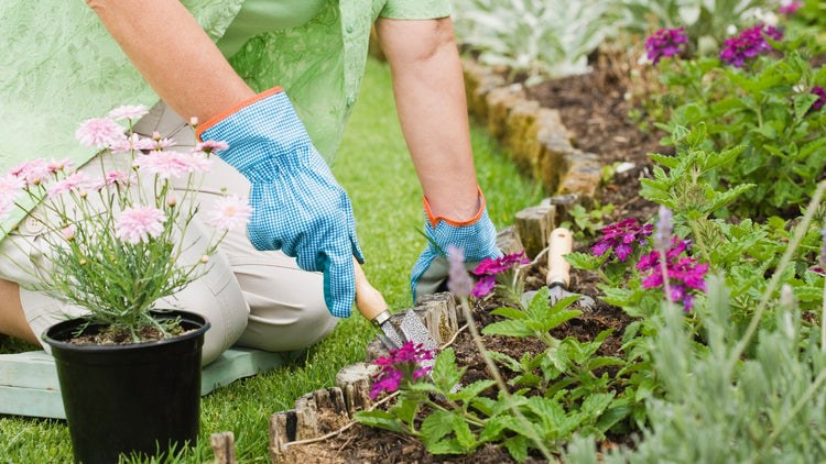 Garden, Esterni e Attrezzature - IAIA DISTRIBUZIONE